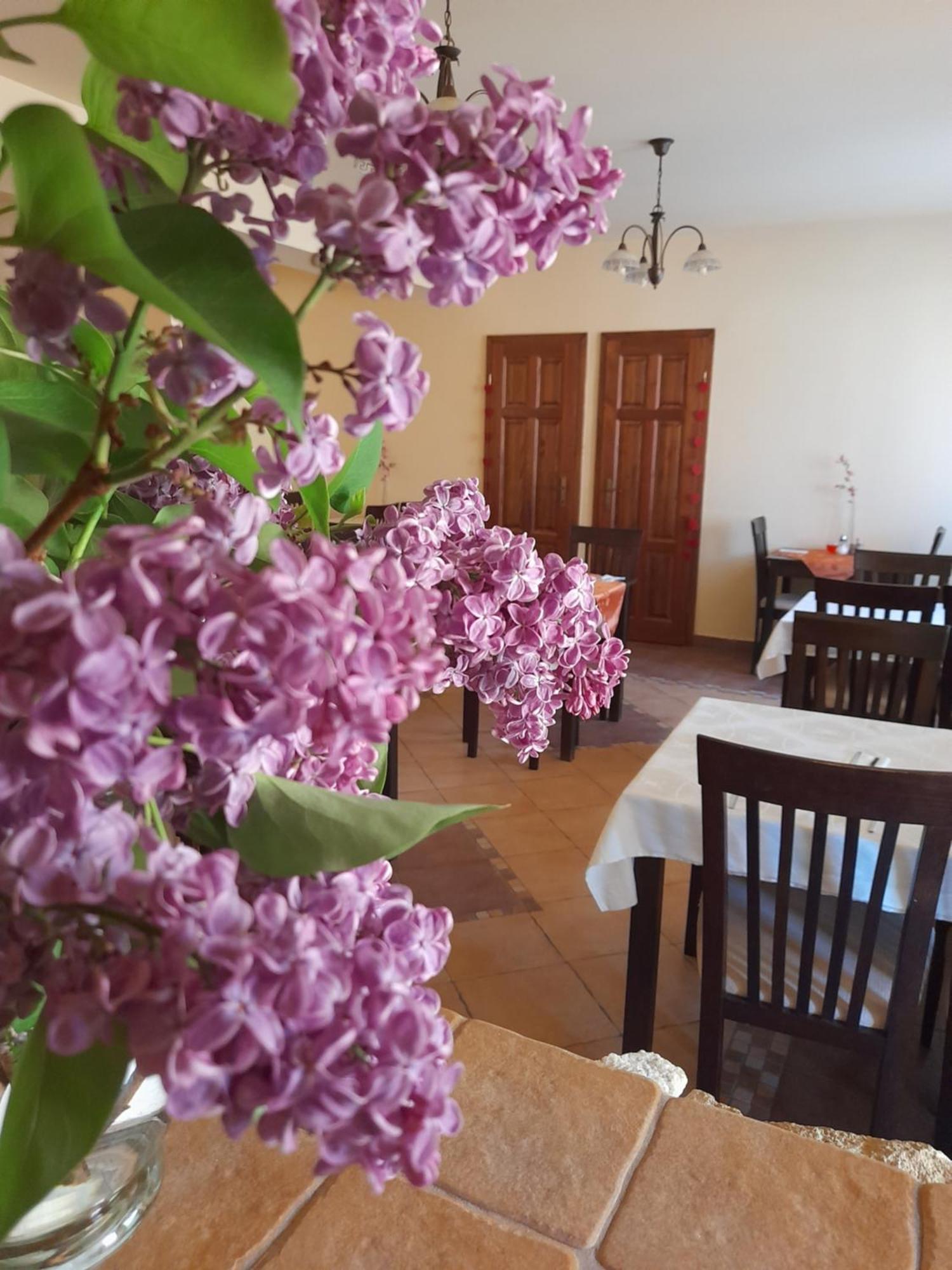 Harmonia Wellness Villa Szilvásvárad Eksteriør billede